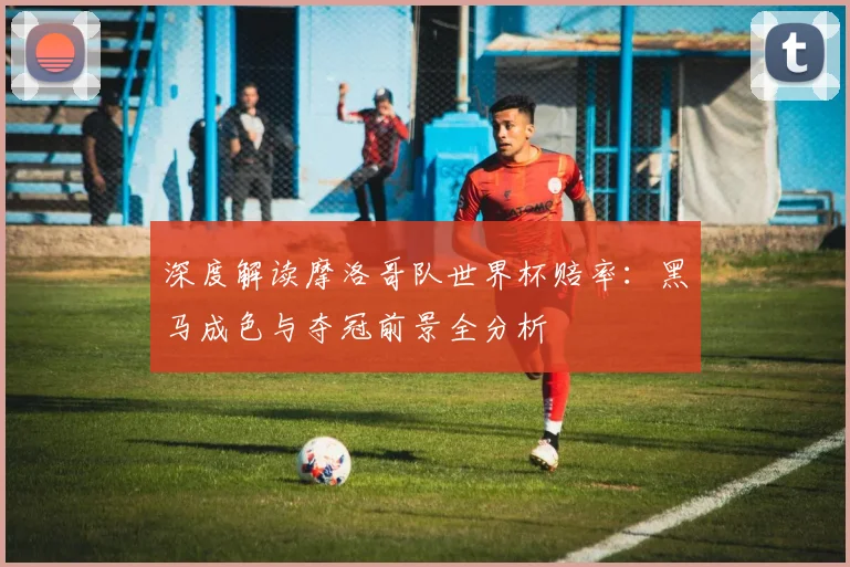 深度解读摩洛哥队世界杯赔率：黑马成色与夺冠前景全分析